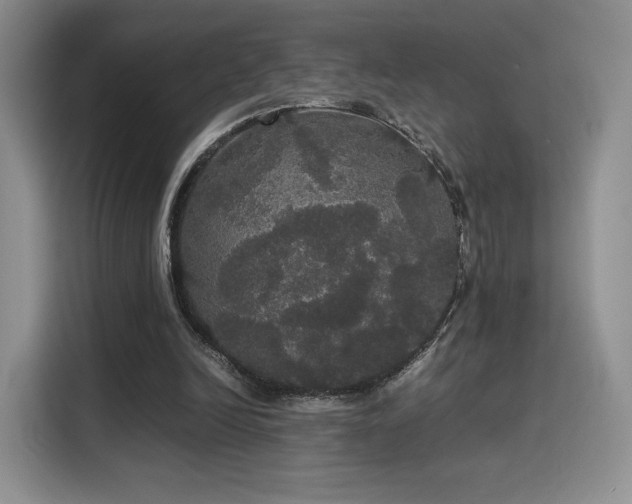 X0000116120246200911231221