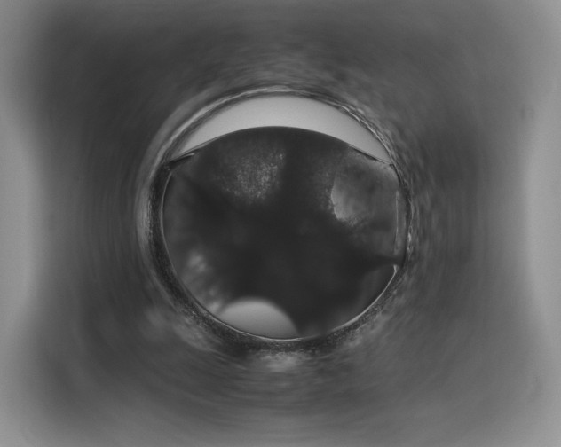 X0000116120247200911231221