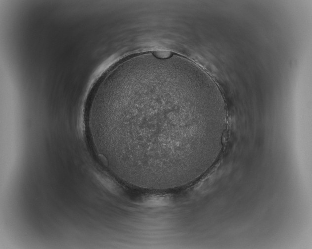 X0000116120248200911231221