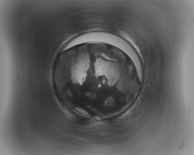 X0000116120249200911231221