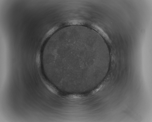 X0000116120250200911231221