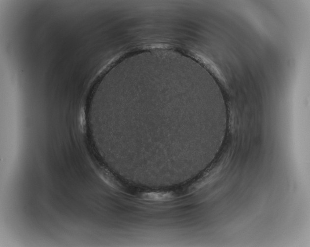 X0000116120251200911231221