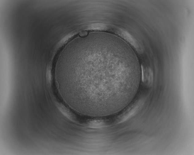 X0000116120252200911231221