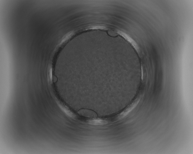 X0000116120253200911231221