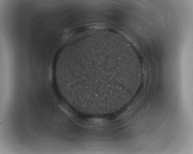 X0000116120255200911231221