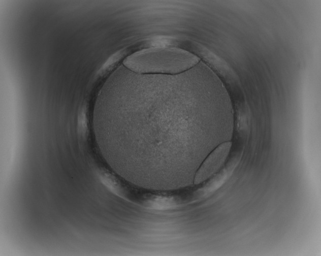 X0000116120256200911231221