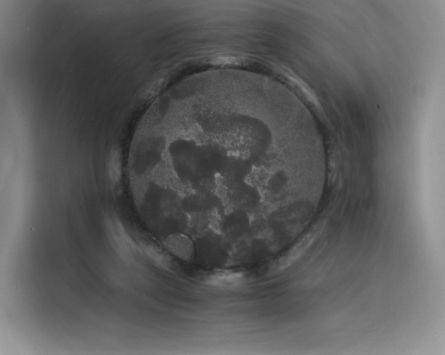 X0000116120257200911231221