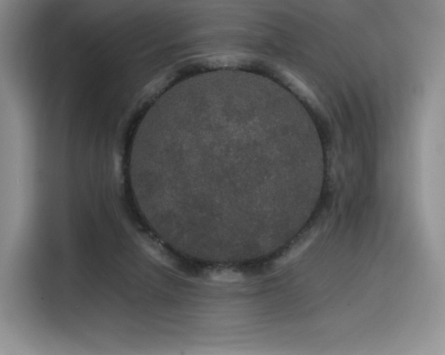 X0000116120258200911231221