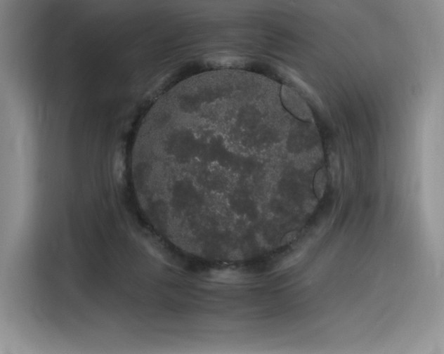 X0000116120259200911231221