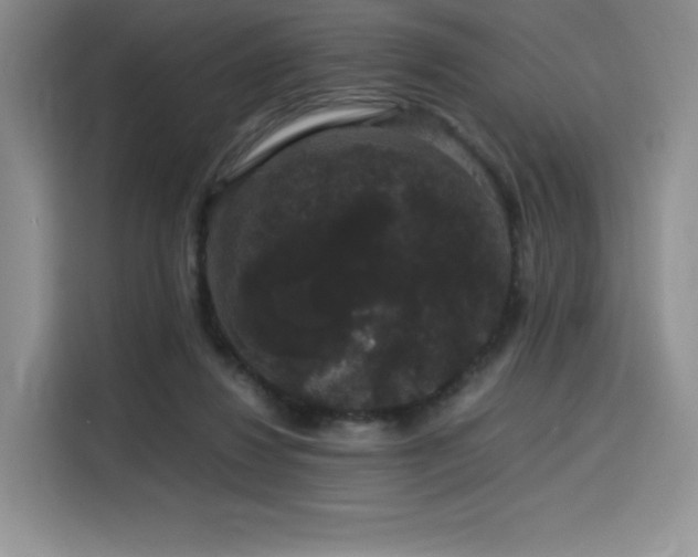 X0000116120260200911231221