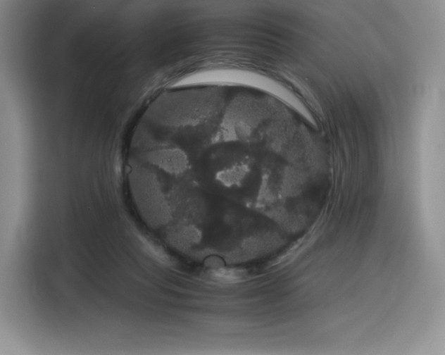 X0000116120261200911231221