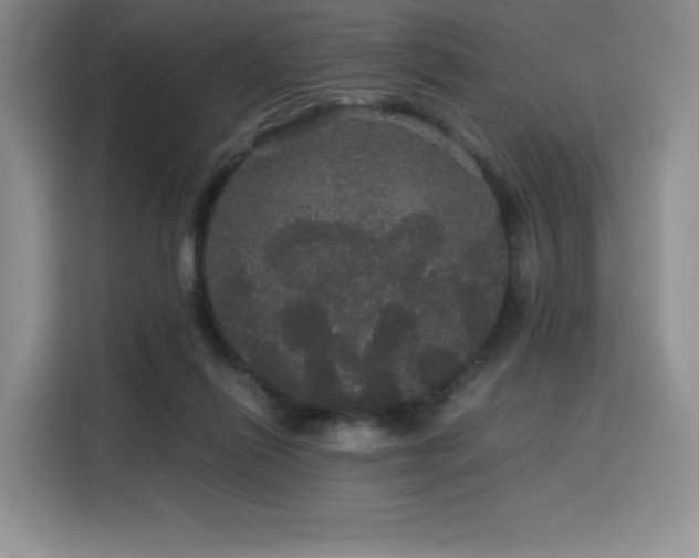 X0000116120262200911231221