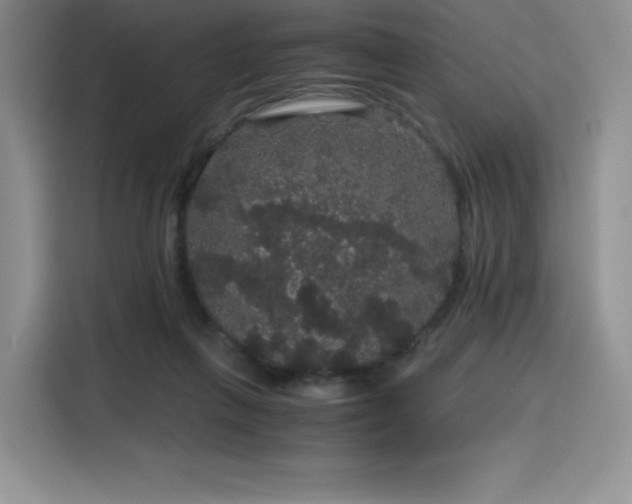 X0000116120263200911231221