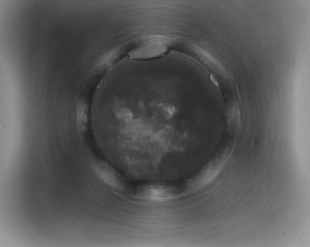 X0000116120264200911231221