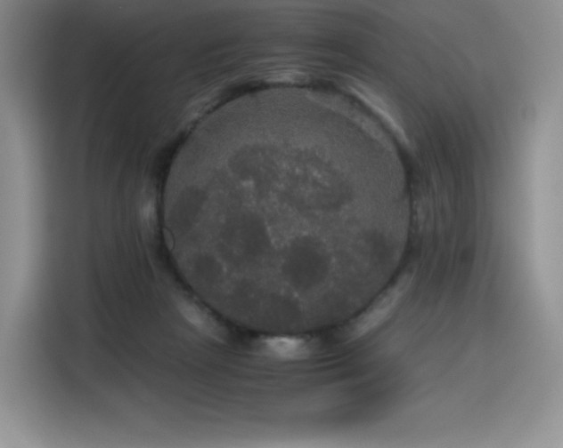 X0000116120265200911231221