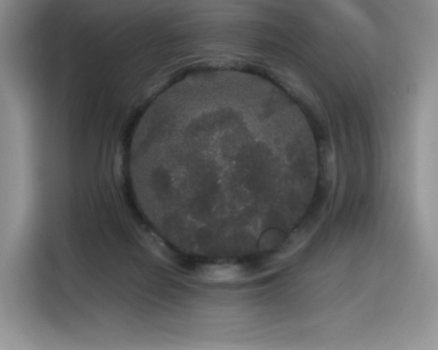 X0000116120266200911231221