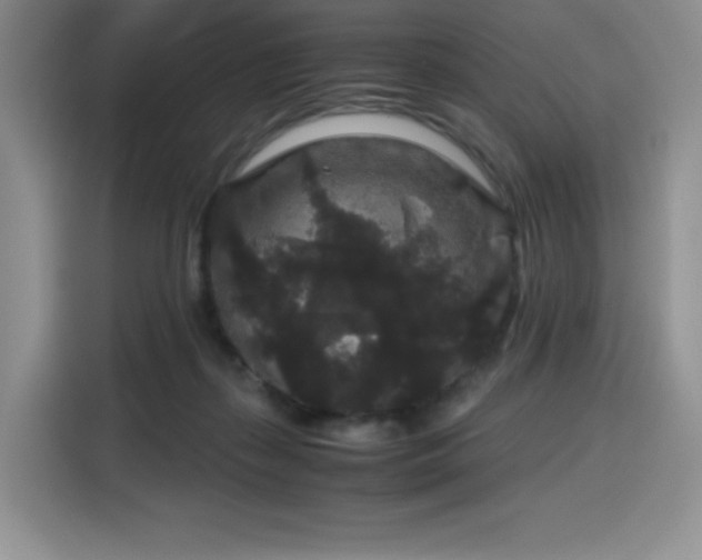 X0000116120267200911231221