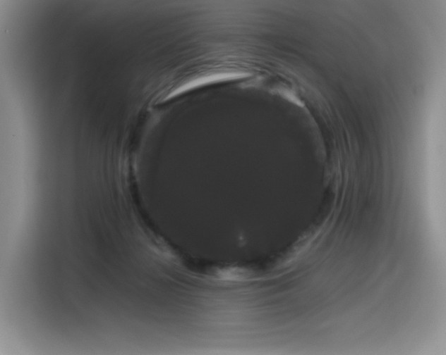 X0000116120268200911231221