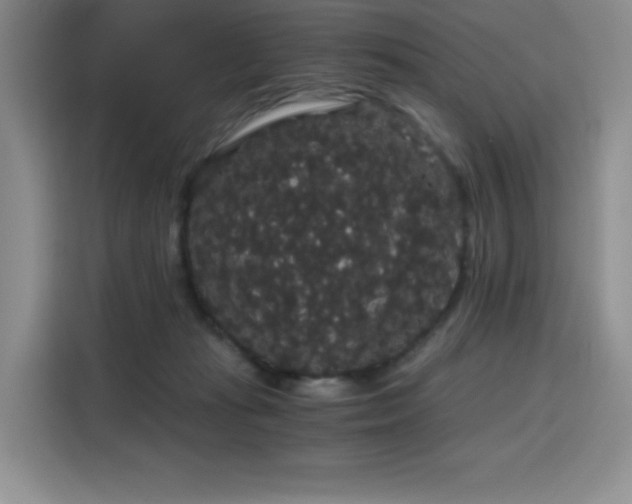 X0000116120269200911231221