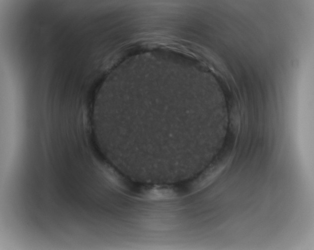 X0000116120270200911231221