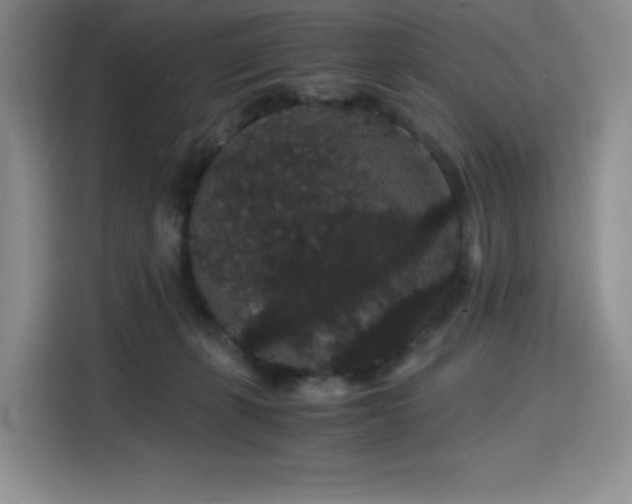 X0000116120271200911231221