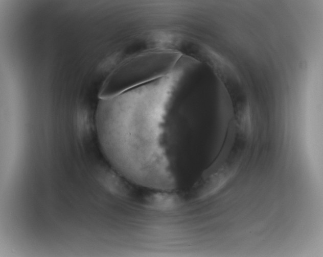 X0000116120272200911231221