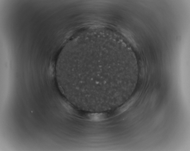 X0000116120273200911231221