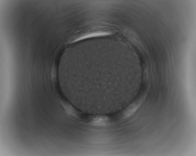 X0000116120274200911231221