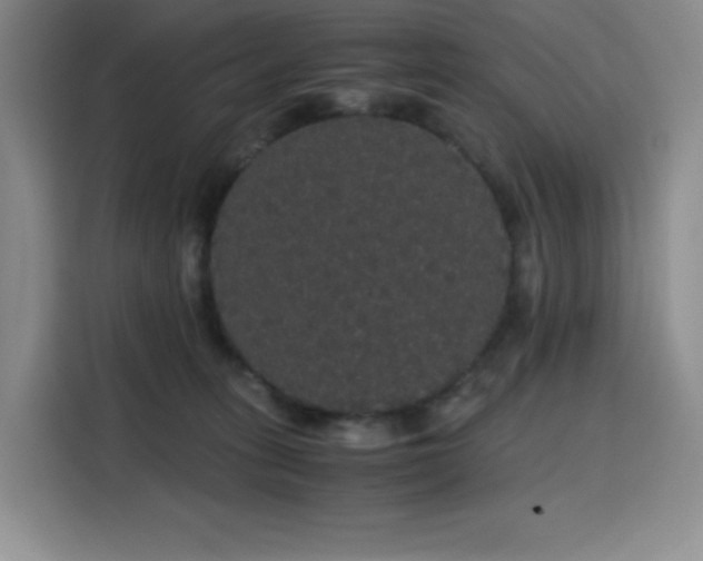 X0000116120275200911231221