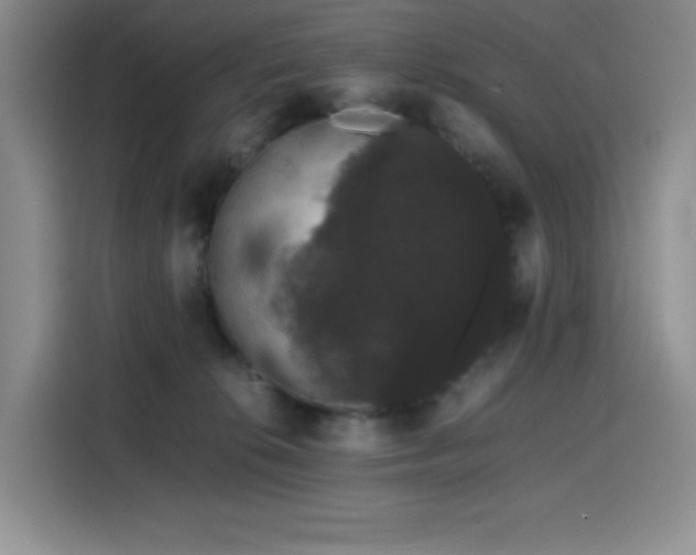 X0000116120276200911231221