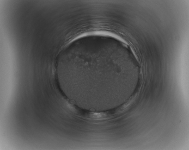 X0000116120277200911231221