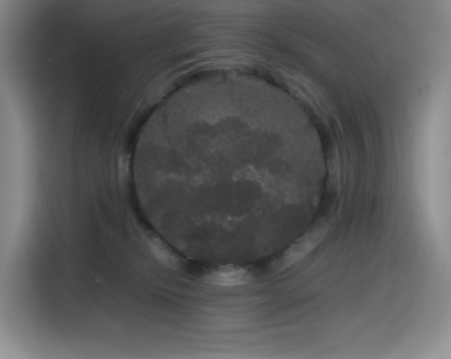 X0000116120278200911231221