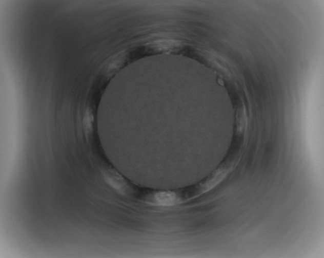 X0000116120279200911231221