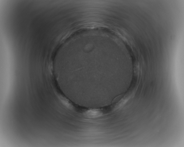 X0000116120280200911231221