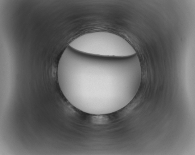 X0000116120281200911231221