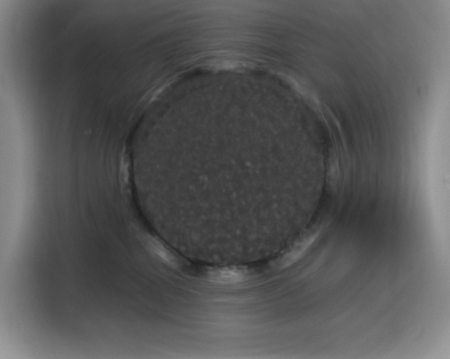 X0000116120282200911231221