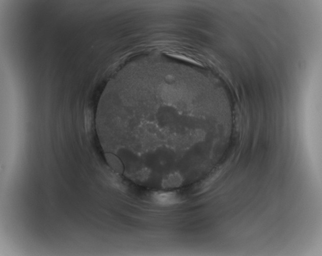 X0000116120283200911231221