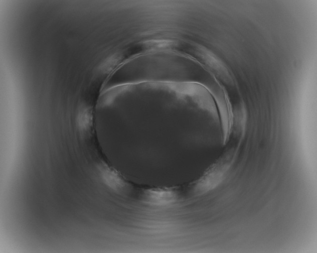 X0000116120284200911231221