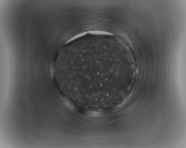 X0000116120285200911231221