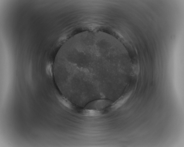 X0000116120286200911231221