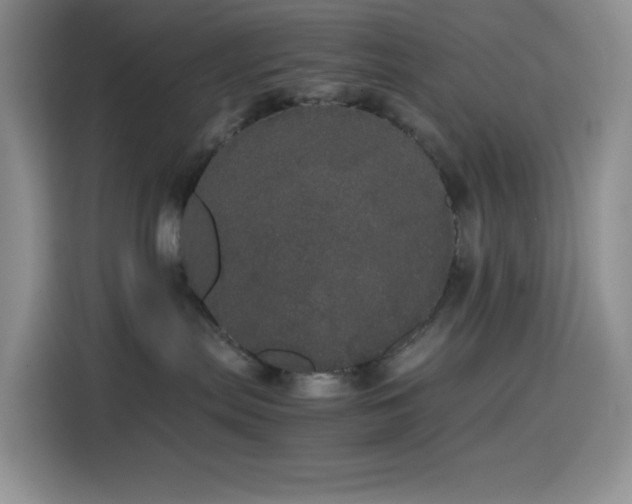 X0000116120287200911231221