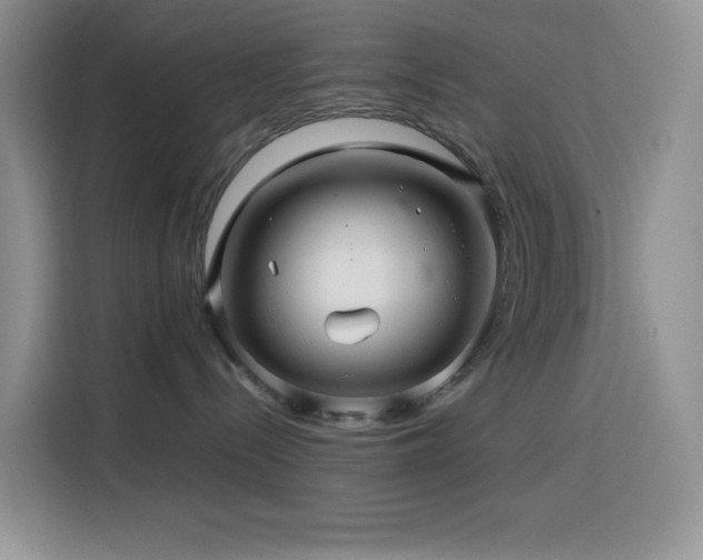 X0000116120288200911231221