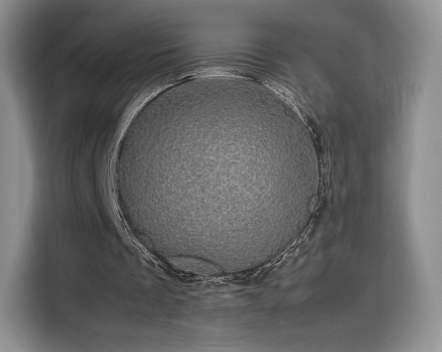 X0000116120289200911231221