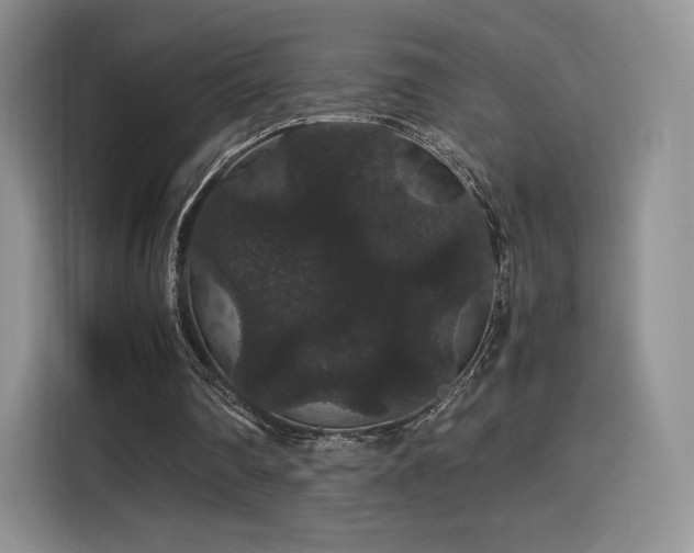 X0000116120290200911231221