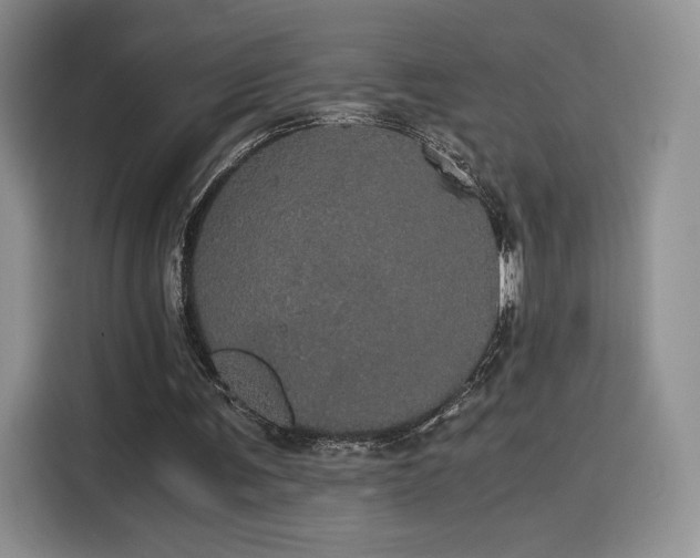 X0000116120291200911231221