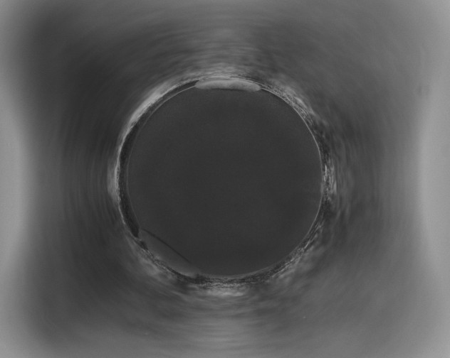 X0000116120292200911231221