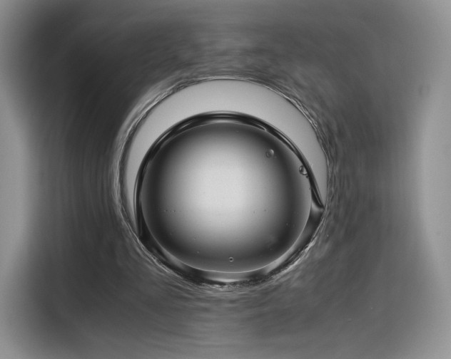 X0000116120293200911231221