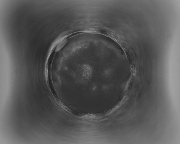 X0000116120294200911231221