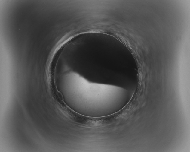 X0000116120295200911231220