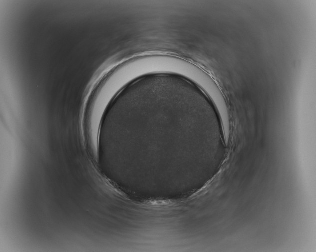 X0000116120296200911231220